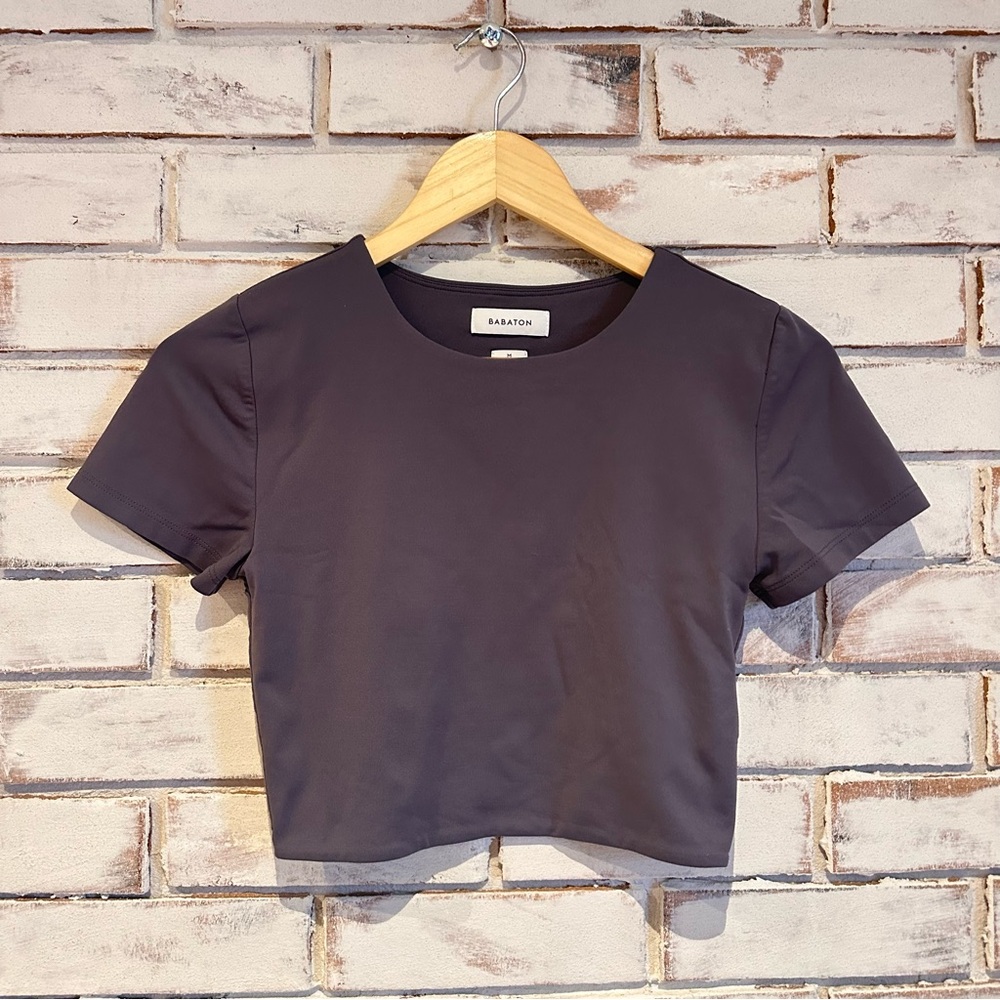Babaton Aritzia Contour Crew Short Sleeve Crop Top